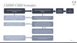 CSDDD-CSRD Synergies - Finch & Beak
